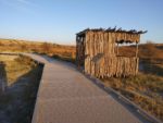 Bottomless Lakes marsh walk
